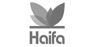 Haifa